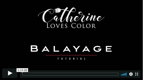 Balayage, Reverse Balayage, & High Contrast Blonde Tutorial Bundle